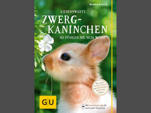 Liebenswerte Zwergkaninchen