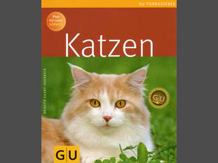 Katzen