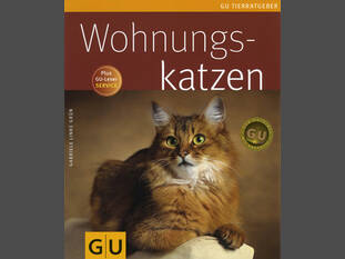 Wohnungskatzen